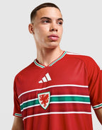 Wales Home World Cup 2026