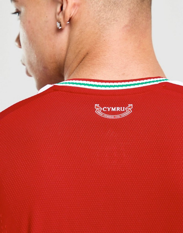 Wales Home World Cup 2026